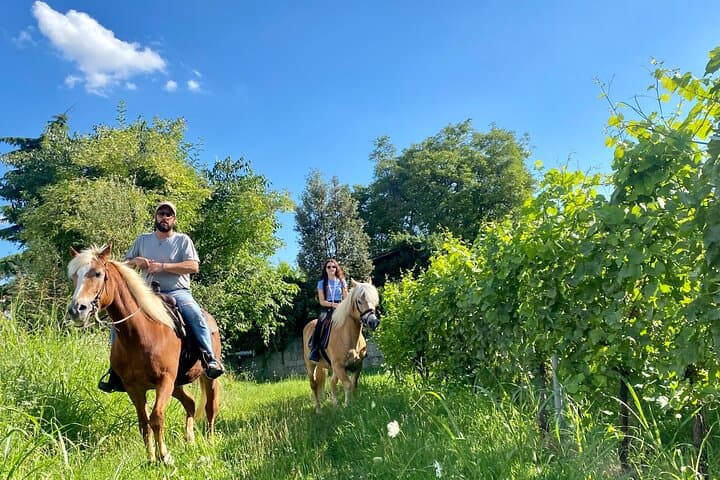 Horseback Riding and Wine Picnic in Lazise Countryside — Lake Garda Equestrian Tour photo 5