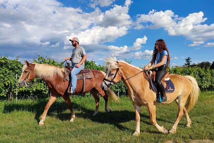 Horseback Riding and Wine Picnic in Lazise Countryside — Lake Garda Equestrian Tour photo 6
