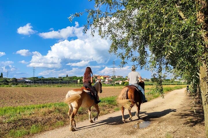 Horseback Riding and Wine Picnic in Lazise Countryside — Lake Garda Equestrian Tour