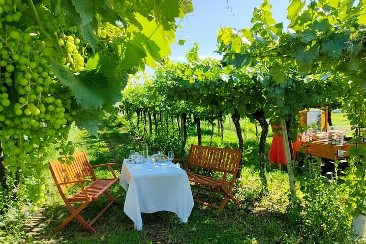 Horseback Riding and Wine Picnic in Lazise Countryside — Lake Garda Equestrian Tour photo 3