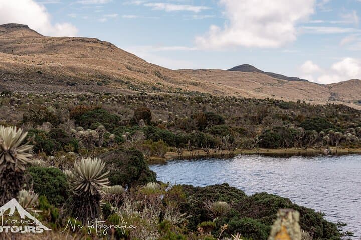 Sumapaz Moorland Hike: Day Trip to Boca Grande Lake and Paramo Birding