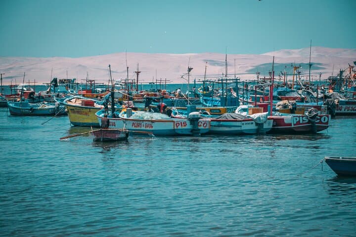 4-Day Coastal & Desert Expedition: Lima, Paracas, Ica & Nazca photo 4