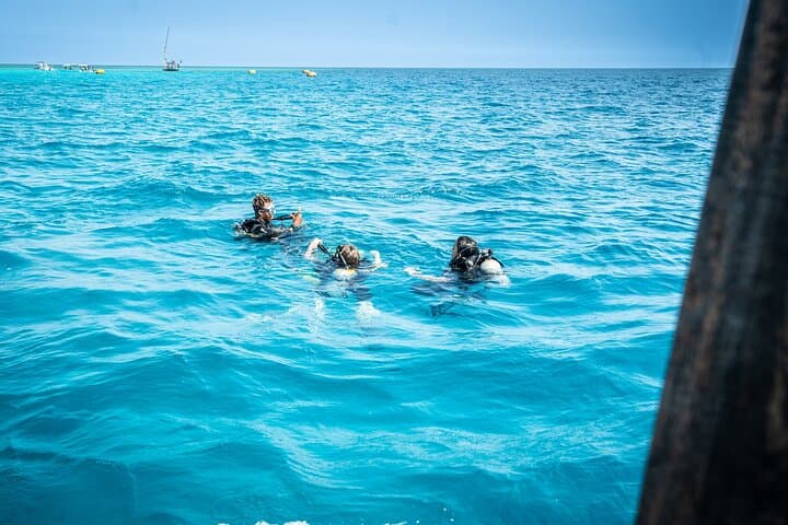 Beginner Scuba Diving Course in Zanzibar: Pool Training and Two Indian Ocean Dives photo 4