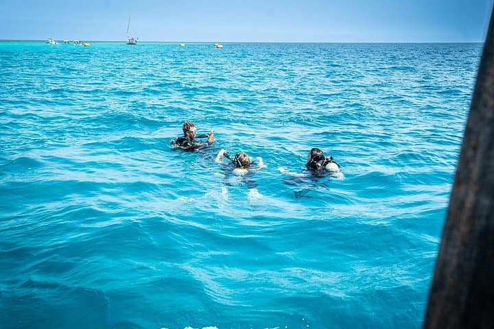 Zanzibar 2-Day PADI Scuba Diver Course — Learn to Dive to 12m in the Indian Ocean photo 3