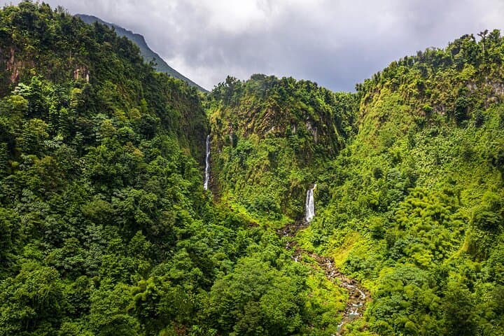 Private Roseau Tour: Botanical Gardens, Trafalgar Falls & Morne Bruce