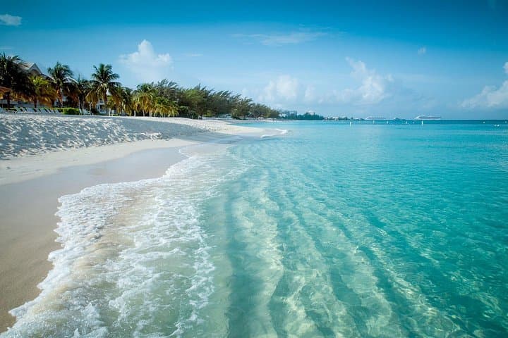 Half-Day Private Boat Tour in Grand Cayman — Stingray Sandbar & Starfish Point photo 4