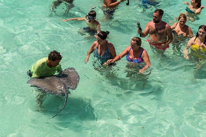 Private Stingray City Tour & Coral Gardens Snorkel from George Town photo 1