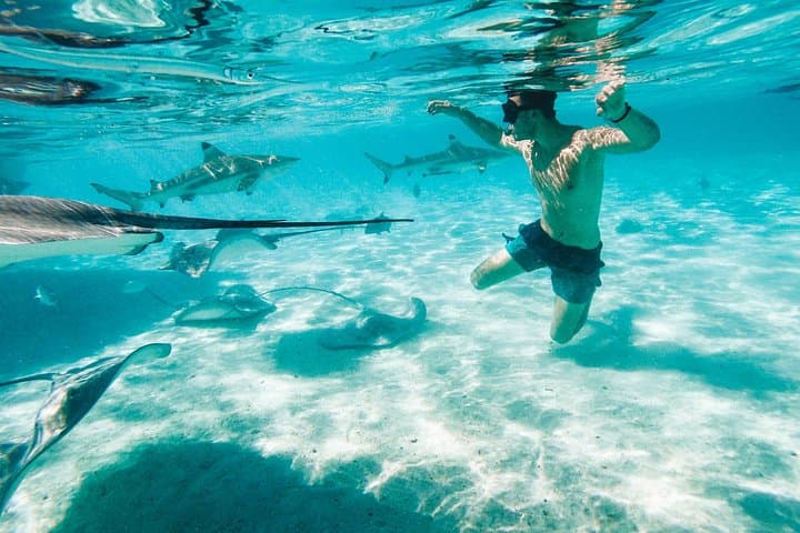 Private Moorea Lagoon Boat Tour — Snorkel with Rays, Reef Sharks & Coral Gardens photo 4