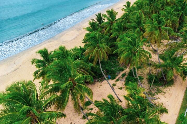 Explore the Enchanting Montaña Redonda & Playa Esmeralda photo 4