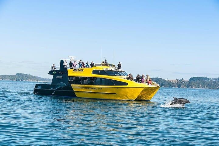 Bay of Islands to Hobbiton: 5-Day North Island Highlights Tour from Auckland photo 5