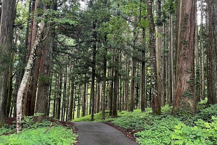 One-Day Shirakawa-go, Gujo Hachiman & Hida Takayama: Traditional Villages from Nagoya photo 2