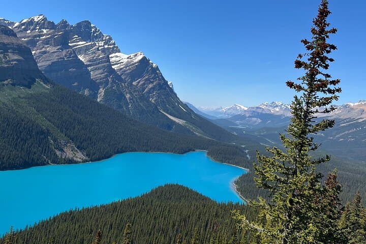 Columbia Icefield, Peyto Lake & Bow Lake: Icefields Parkway Day Trip from Calgary photo 5