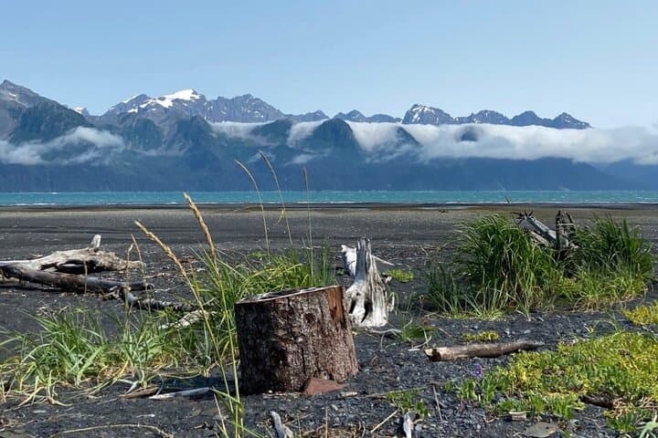 Tonsina Beach Guided Hike: Seward Shoreline, Forest & WWII History