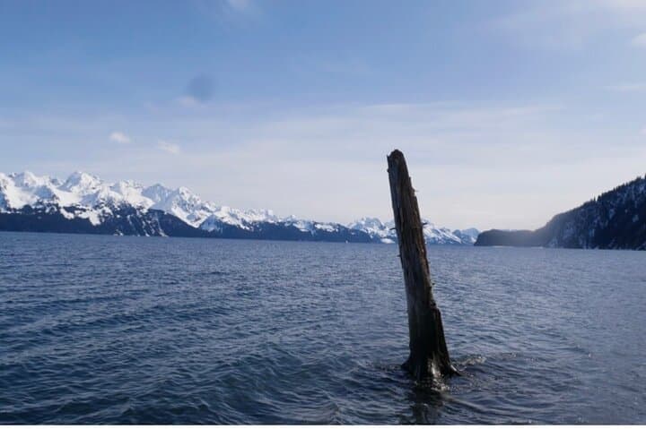 Tonsina Beach Guided Hike: Seward Shoreline, Forest & WWII History photo 2