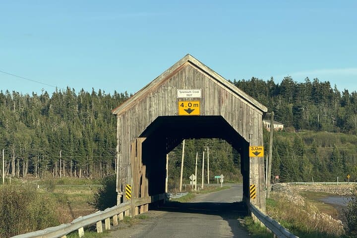 Private Guided Fundy Tour: Reversing Falls, Saint Martins & Heritage of Saint John