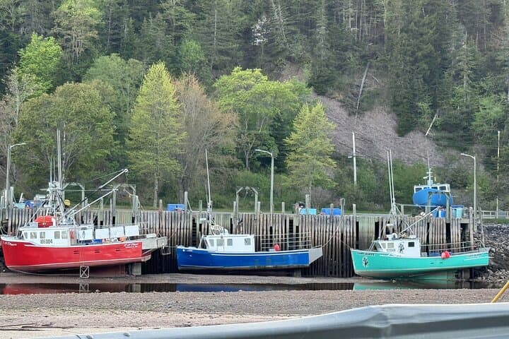 Private Guided Fundy Tour: Reversing Falls, Saint Martins & Heritage of Saint John photo 2