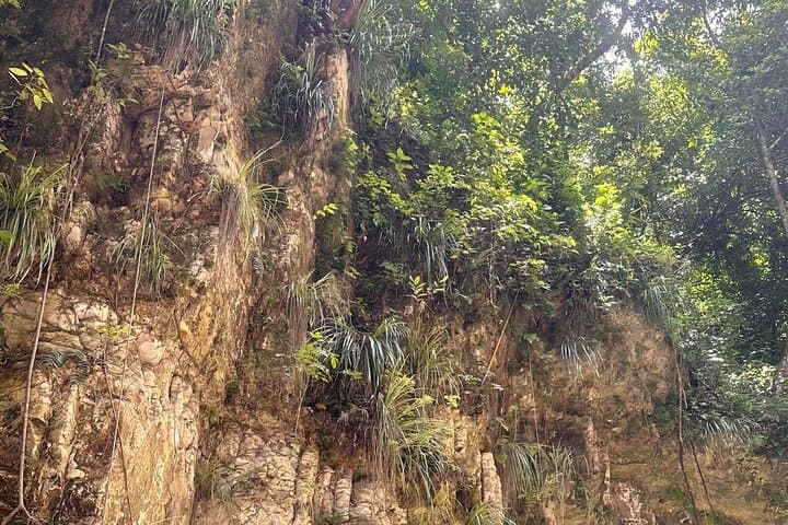 Damajagua 27 Charcos: Hike to the 7th Waterfall — Day Tour from Santo Domingo photo 4