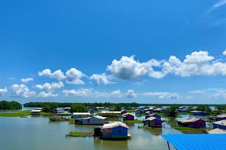 Ciénaga Grande of Santa Marta: Full-Day Guided Boat Tour through Colombia’s Largest Mangrove Lagoon photo 4