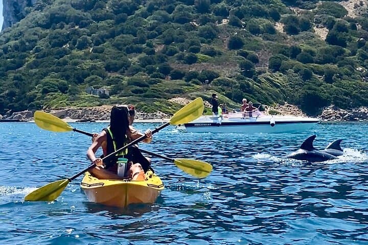 Golfo Aranci Kayak Tour: Dolphins, Figarolo & Aperitif photo 2
