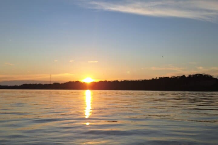 Full-Day Pacaya Samiria Reserve: Amazon Wildlife Cruise from Iquitos photo 6