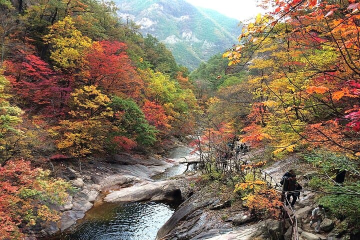 Seorak, Nami & Morning Calm: Full-Day Trip from Seoul to Korea’s Mountain, Island & Garden photo 4