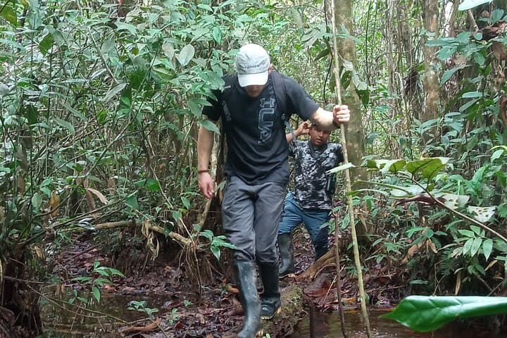 Amazon Paradise Ecolodge: 3-Day Iquitos Jungle Immersion photo 2