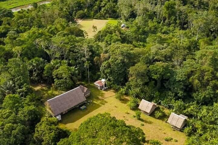 Amazon Paradise Ecolodge: 3-Day Iquitos Jungle Immersion photo 3