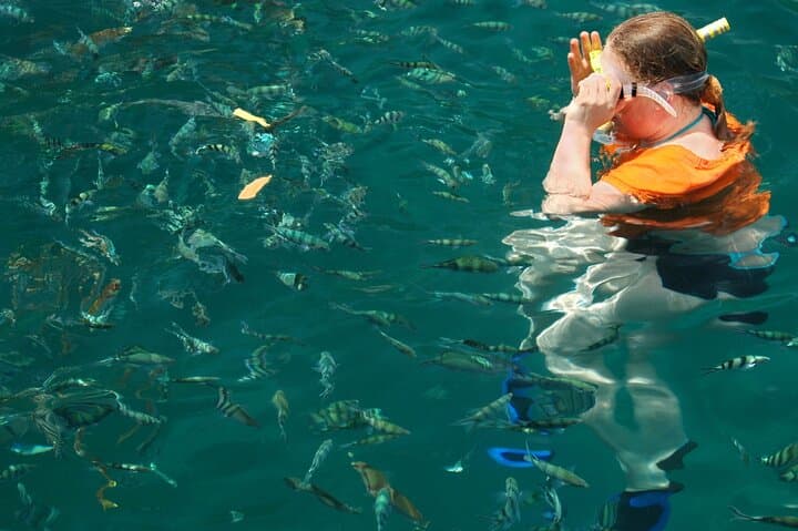 Island Snorkel Escape: Pulau Sapi & Manukan Day Trip from Kota Kinabalu photo 4