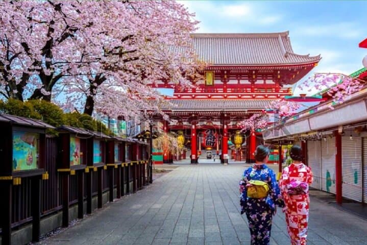 Private Tokyo City Tour by Car: Skytree, Senso-ji, Tsukiji & Meiji photo 1