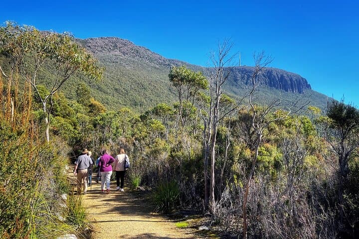 Summit Views at kunanyi: Mt Wellington Ultimate Afternoon Tour from Hobart photo 2