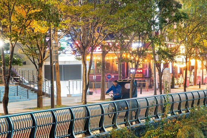 Cheonggyecheon Night Private Tour: Evening Walk Along Seoul’s Restored Stream photo 6