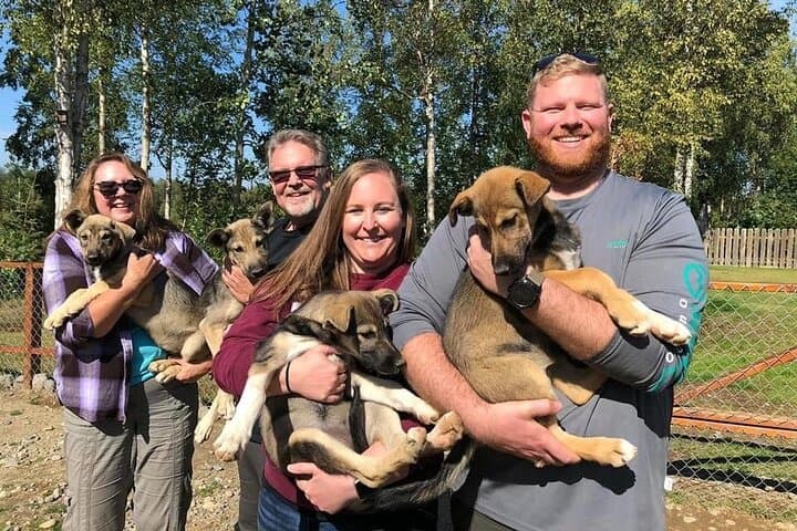 Anchorage to Willow Sled Dog Adventure: Ride with Iditarod Huskies photo 3