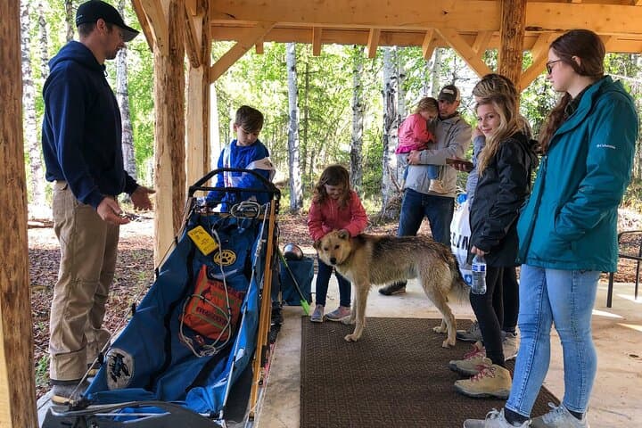 Anchorage to Willow Sled Dog Adventure: Ride with Iditarod Huskies photo 4
