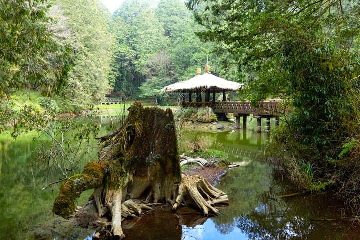 Alishan Day Tour from Taichung: Ancient Trees, Sea of Clouds & Tribal Culture photo 3