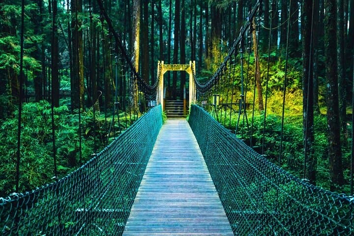 Alishan Day Tour from Taichung: Ancient Trees, Sea of Clouds & Tribal Culture