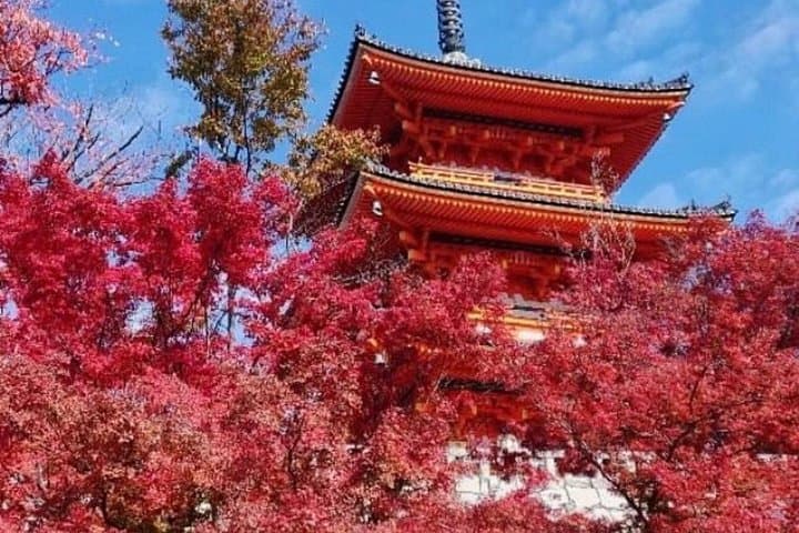 Private 12-Hour Kyoto Tour from Nagoya — Private Car with English Driver photo 2