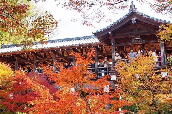 Private 12-Hour Kyoto Tour from Nagoya — Private Car with English Driver photo 4