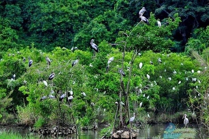Ninh Binh 2-Day Highlights: Mua Cave, Tam Coc & Thung Nham Overnight from Hanoi