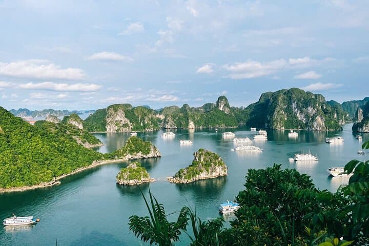 2-Day Ninh Binh & Halong Bay Luxury Cruise: Tam Coc, Mua Cave & Halong Day Cruise