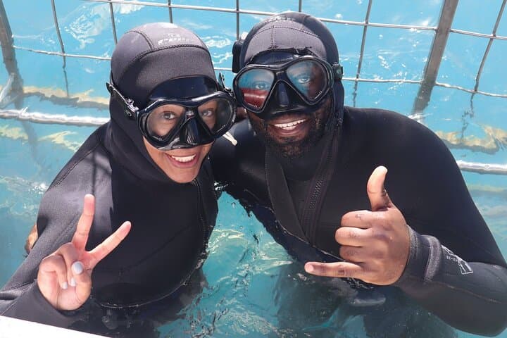 Gansbaai Shark Cage Diving from Hermanus — Shark Alley Day Trip photo 5
