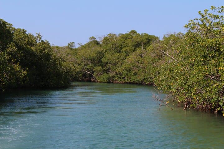 Cayo Arena Day Trip: Snorkel the Coral Sands from Puerto Plata photo 3