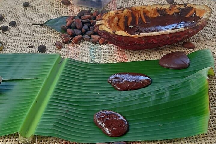 Chocolate Roads: Cacao Farm & Waterfall Day Trip from Medellín photo 6
