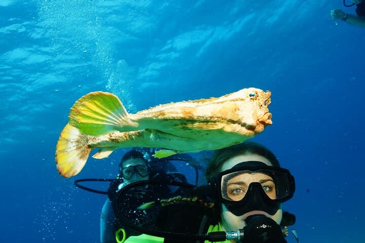 Beginner Scuba: Pool Class + MUSA & Manchones Reef Two-Tank Experience in Cancun photo 4