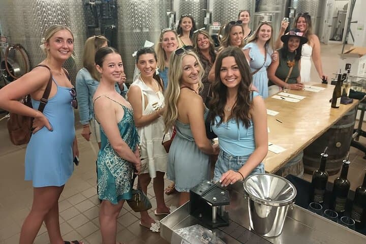 Leelanau Peninsula Winery Pairing Tour from Traverse City
