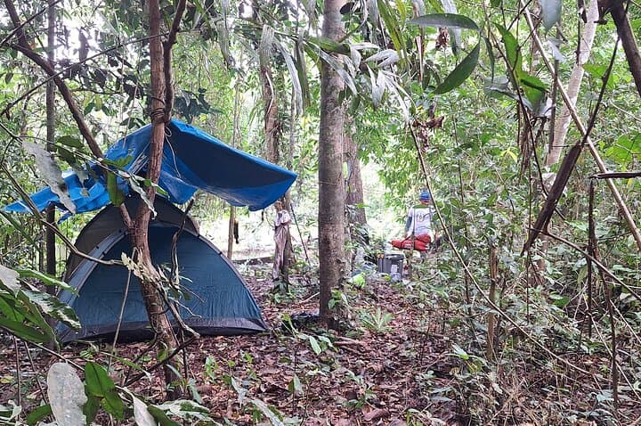 Amazon Untamed Expedition: 3-Day Pacaya Samiria Jungle Adventure photo 3