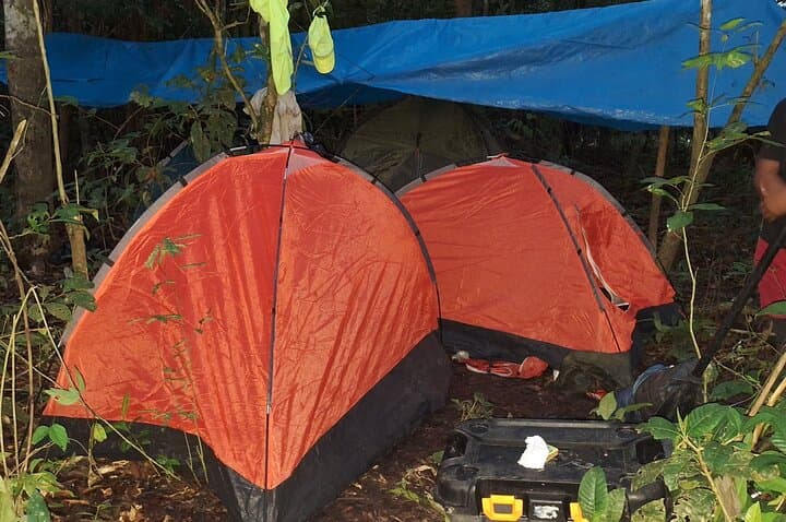 Amazon Untamed Expedition: 3-Day Pacaya Samiria Jungle Adventure photo 5