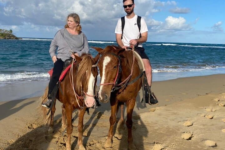 Beach Horseback Ride in Puerto Plata: Jungle Path to Ocean Gallops photo 3
