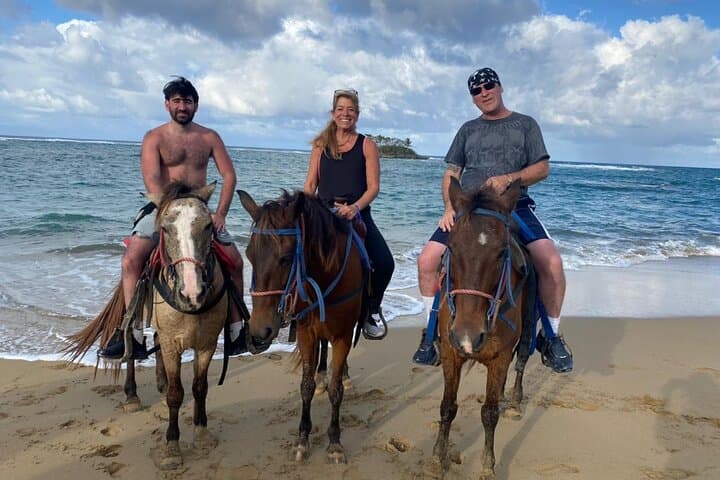 Beach Horseback Ride in Puerto Plata: Jungle Path to Ocean Gallops photo 4