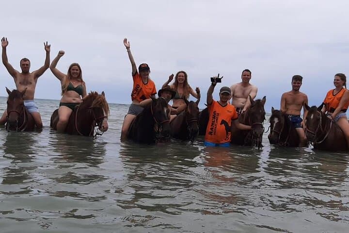 Beach Horseback Ride in Puerto Plata: Jungle Path to Ocean Gallops photo 5
