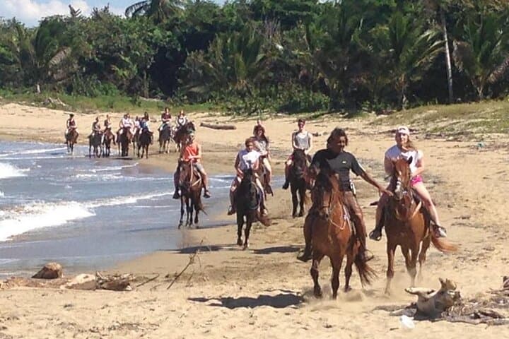 Beach Horseback Ride in Puerto Plata: Jungle Path to Ocean Gallops photo 2